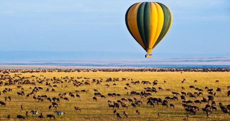 Migration Luxury Safari
